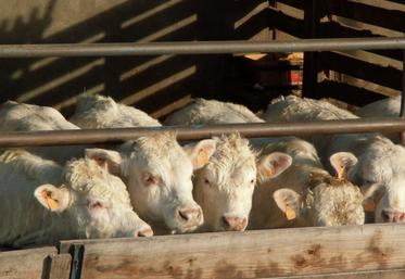 L'alimentation et la gestion des bâtiments font partie des points à vérifier lors de cette période cruciale.