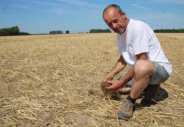 Parmi les participants de ce Mécasol 2019, Éric Sabourin, de l’association Agrosol, qui sera présent avec d’autres collègues pour informer sur la mise en place de couverts végétaux.