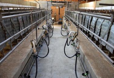 Les frères Bluteau ont adapté leur salle de traite à leur projet.