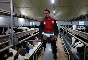 Ludovic Lamothe est installé depuis 2019 en élevage de veaux, à Semussac.