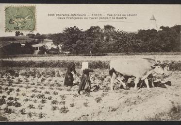 Les femmes étaient impliquées dans les travaux des champs, ici à Arces. Crédit photo : Archives départementales de la Charente-Maritime, 78FI 1GM 01