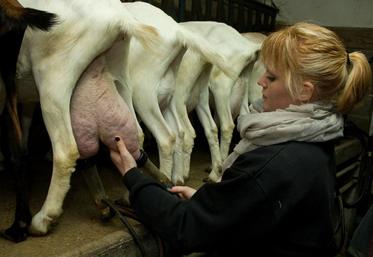 Des défis restent à relever afin d’assurer le renouvellement des générations et de pérenniser la collecte dans un contexte de consommation favorable.