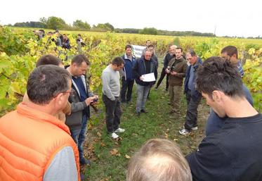 Explications autour de Damien Couvidat (Caussade) et Jean-François Ecalle (Ocealia)