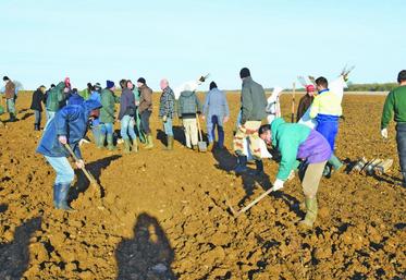 Les bénévoles étaient à pied d'oeuvre mardi matin pour planter une vingtaine d'essences d'arbres le long d'une parcelle agricole.