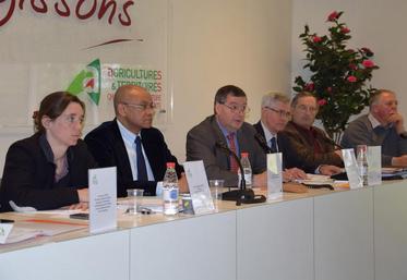 De gauche à droite : Benedicte Genin, Pierre N’Gahane, Xavier Desouche et Marc Thomas.