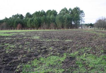 Pour la saison 2018-2019, l’indemnisation des dégâts s’élève 
à 610 000 euros.