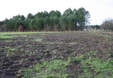 La chasse est actuellement interdite, mais le Préfet a pris plusieurs mesures visant à protéger les exploitations agricoles du Département des sangliers.