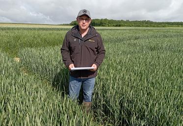 Pour Éric Boulétreaux, il est aujourd’hui indispensable d’associer divers leviers agronomiques pour garantir la réussite d’un désherbage chimique.