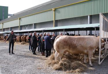 Au programme, dès 8 h, jugement des animaux, puis classification et vente. 