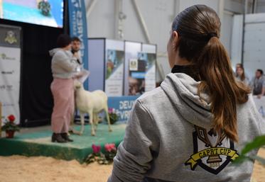 Lors de cette nouvelle édition, 12 équipes de 8 établissements scolaires se sont affrontés au cours de 6 épreuves.