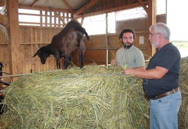 Pour Alexis Barbé, éleveur, et Théophane Soulard, technicien caprin de Seenovia, bien-être animal et bien-être de l’éleveur sont indissociables.