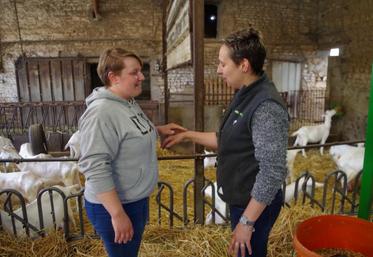 Initiation à la kinésiologie animale en mai 2018, à l’EARL Berneau, à Chauray : les éleveurs participants s’entraînaient au « test musculaire ».