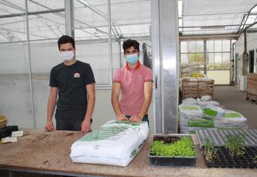 Ethan et Jules, deux lycéens, ont réalisé des démonstrations de repiquage avec beaucoup de pédagogie.