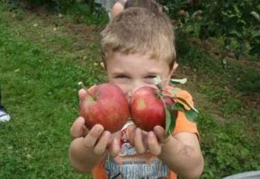 La SCEA Tastet dispose d'une "boutique à la ferme".