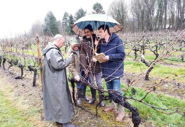 Les parapluies étaient de sortie dans les vignes du lycée Le Renaudin.