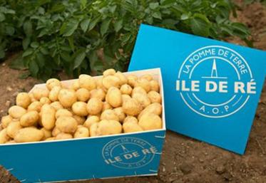 1888 t de pommes de terre primeur produites en 2016.