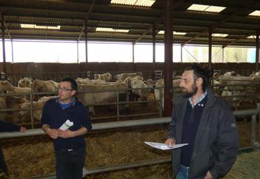 Pierrick Roy et Ludovic Chazeaud, au sein des stabulations du GAEC des Fontaines.