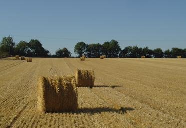 Champ règlementaire, mes parcelles, PAC, Deux-Sèvres