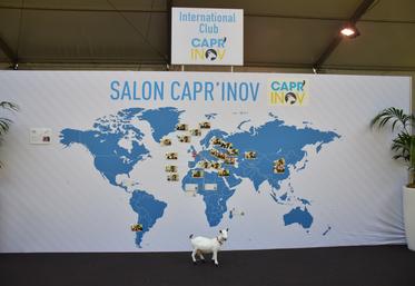 Capr'inov, Nouvelle-Aquitaine, Salon, Chèvre, Agricole, Deux-Sèvres