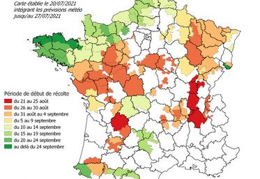 Carte récolte de maïs fourrages 2021