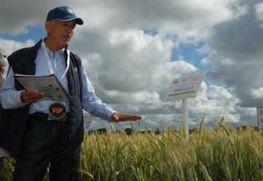 Bernard Pasquier (Soufflet) croit en l’avenir des mélanges de semences pour répondre aux marchés d’exportation.