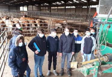 Formation, Deux-Sèvres, France, MFR, élèves.