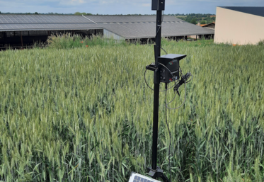 Capteur, ambiance, bâtiment, agriculture, élevage Saperfel, Deux-Sèvres