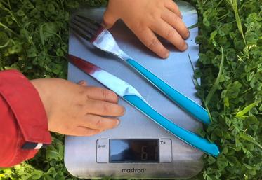 Couverts végétaux, Deux-Sèvres