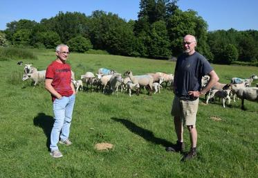 Martial Pouzet (à gauche) et le service économique de la Chambre d'agriculture accompagnent Pascal Laurent dans sa transmission d'exploitation.