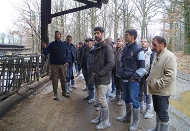 Une cinquantaine de personnes sont venues découvrir le Domaine des Étoiles à Massignac et ses 330 mères limousines.