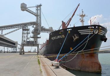 En dépit des troubles engendrés par les grèves et la crise sanitaire, la campagne de céréales 2019/2020 s'annonce réussie pour le port de La Pallice, grâce à de bonnes exportations hors-UE.