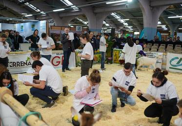 Capr'inov, Capr'Inov Cup, Deux-Sèvres, Nouvelle Aquitaine 2018