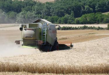 En Charente-Maritime, les surfaces de blé dur étaient en hausse de 5 % sur la campagne 2019-2020.