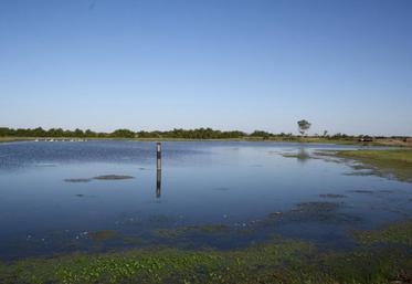 Les niveaux d’eau enregistrés au moment de la fermeture des ouvrages à la mer permettent d’évaluer les volumes nécessaires pour le remplissage des mares en période  estivale