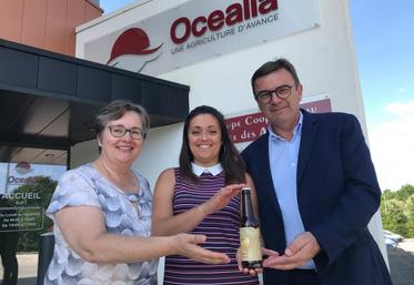 Agnès Buisson, Perrine Denis et Xavier Briois présentent la dernière née des bières d’Océalia, « la Fauche ».