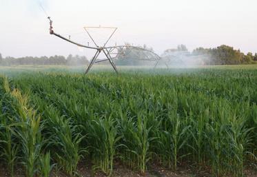 Les prélèvements d’eau vont être de plus en plus strictement encadrés.