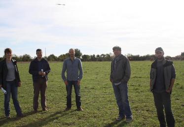 Claire Tessier, animatrice Frab Nouvelle-Aquitaine, Julien Geay Chambre d’agriculture, Fabien Thomas, technicien à la Chambre d’agriculture, Vincent David, président du Gab 17 et Bruno Bonnin, agriculteur en cours de conversion bio, lors du lancement du mois de la bio sur son exploitation à Thairé d’Aunis.