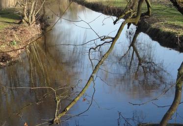 Tout au long de l’été, retrouvez les arrêtés d’irrigation sur le site web de L’Agriculteur Charentais.