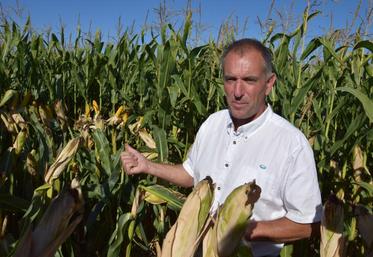 « Les exploitations agricoles en culture sèche n’ont plus les moyens d’investir », prévient le président de la Chambre d’agriculture. (Photo d'archives)