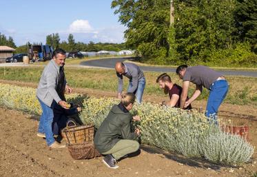 La préservation de l’abeille noire Apis Mellifera Mellifera (d’où est tiré le nom du gin) et celle des côtes va faire partie des premiers projets soutenus par Christophe Amigorena (à gauche).