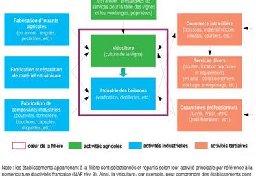 Schéma de la filière viti-vinicole en Nouvelle-Aquitaine, d'après l'INSEE.