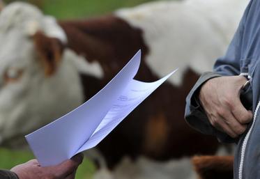 Les organisateurs des formations invitent les agriculteurs en difficulté à prendre du recul sur leur situation et à être acteur de leur changement.