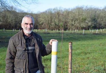 Denis Rigou a planté de nouveaux noyers pour augmenter la production de noix, qui devient l'activité principale de l'exploitation.