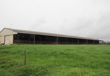 Construit en 2008, le bâtiment de Sébastien Gaillard combine bonne ventilation, bonne exposition et taux d’humidité très bas.