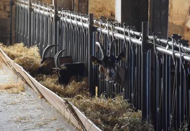 « Si le prix du lait ne suit pas,
 il faudrait au moins arriver 
à valoriser tous les coproduits 
de l'élevage », estime Sophie Espinosa, directrice de la Fédération nationale des éleveurs de chèvres.