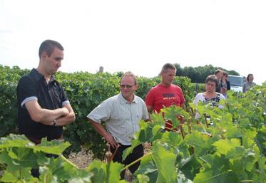Stéphane Fleury (au centre) a expliqué les travaux de la vigne aux demandeurs d’emploi présents.