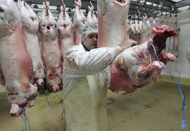 Abattage d'ovins dans un abattoir agréé.