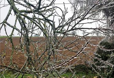 Intempéries, givre, Deux-Sèvres