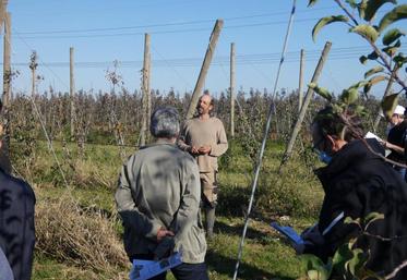 Alexandre Mourozeau a insisté sur l'importance de son système d'irrigation au goutte-à-goutte dans la réussite de son verger. « Si vous n'avez pas d'eau, ce que vous avez-là, n'y pensez même pas ! »