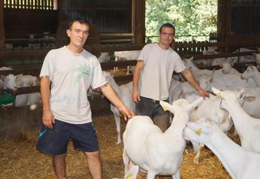 Cédric André, derrière Grégory Flaud, son associé. Il a intégré le GAEC caprin de Juillé en juin 2014, en parrainage.